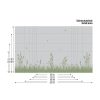 Auf dem Bild ist das Produkt: Sichtschutzfolie filigranes grünes Schilf maritim Fensterfolie Fensterdeko Milchglasfolie Fensterdekoration Wiederverwendbar zum Preis von €24.9 abgebildet.