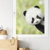 Auf dem Bild ist das Produkt: Fensterbild ins Fenster reinschauender Panda Fensterdeko Kinderzimmer Kind Osterdeko Frühlingsdeko zum Preis von €13.9 abgebildet.