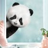 Auf dem Bild ist das Produkt: Fensterbild ins Fenster reinschauender Panda Fensterdeko Kinderzimmer Kind Osterdeko Frühlingsdeko zum Preis von €13.9 abgebildet.
