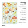 Auf dem Bild ist das Produkt: Fensterbild Herbst Pilze Herbstfrüchte Steinpilz Fliegenpilz Pfifferlinge Schwammerl bunt wiederverwendbare Fensteraufkleber Küche Eingang zum Preis von €13.9 abgebildet.