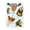 Auf dem Bild ist das Produkt: Fensterbild lustige Vögel Vogelset Frühling Fensteraufkleber Kinderzimmer Kind, Frühlingsdeko, Osterdeko Wiederverwendbar witziger Vogel zum Preis von €13.9 abgebildet.