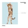 Auf dem Bild ist das Produkt: Fensterbild stehende Katze Vorderansicht Fensterdeko Kinderzimmer Kind Osterdeko Frühlingsdeko zum Preis von €13.9 abgebildet.