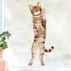 Auf dem Bild ist das Produkt: Fensterbild stehende Katze Vorderansicht Fensterdeko Kinderzimmer Kind Osterdeko Frühlingsdeko zum Preis von €13.9 abgebildet.