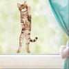 Auf dem Bild ist das Produkt: Fensterbild stehende Katze Vorderansicht Fensterdeko Kinderzimmer Kind Osterdeko Frühlingsdeko zum Preis von €13.9 abgebildet.