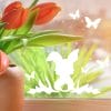 Auf dem Bild ist das Produkt: Fensteraufkleber Fensterbild Frühling Osterhase mit Schmetterlingen wiederverwendbar, weiß Frühling 11 Stück im Set, Dekoration Frühling zum Preis von €8.9 abgebildet.