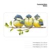 Auf dem Bild ist das Produkt: Fensterbild Frühling Ostern Vogelkinder bunte Fensterdekoration wiederverwendbare Fenstersticker, Osterdeko, Frühlingsdeko zum Preis von €13.90 abgebildet.