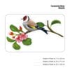 Auf dem Bild ist das Produkt: Fensterbild Vögel einzeln Vogel bunte Fensterdekoration wiederverwendbare Fenstersticker, Osterdeko, Frühlingsdeko Frühling Ostern zum Preis von €13.9 abgebildet.