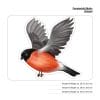 Auf dem Bild ist das Produkt: Fensterbild Vögel einzeln Vogel bunte Fensterdekoration wiederverwendbare Fenstersticker, Osterdeko, Frühlingsdeko Frühling Ostern zum Preis von €13.9 abgebildet.