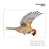 Auf dem Bild ist das Produkt: Fensterbild Vögel einzeln Vogel bunte Fensterdekoration wiederverwendbare Fenstersticker, Osterdeko, Frühlingsdeko Frühling Ostern zum Preis von €13.9 abgebildet.